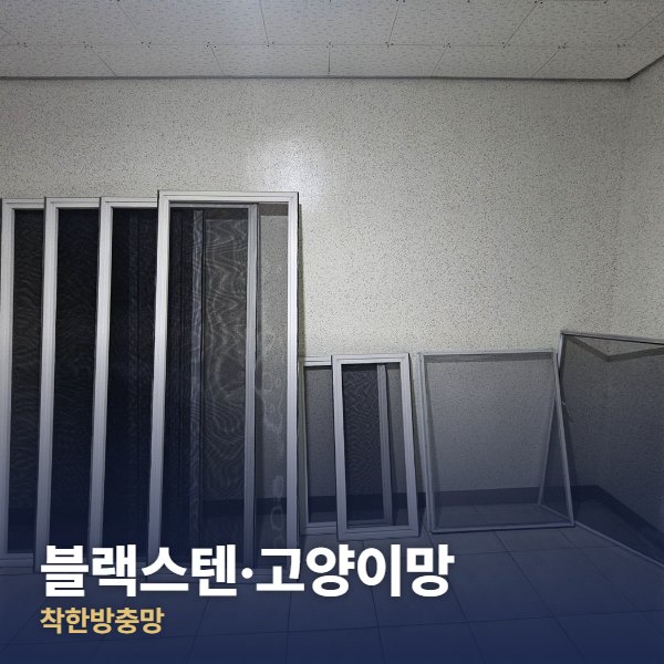 동대문구 블랙스텐·고양이망